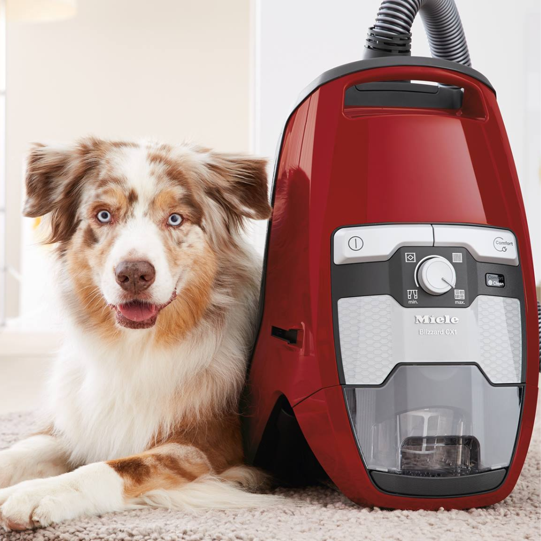 Why Your Vacuum Cleaner Might Be Losing Suction and How to Fix It