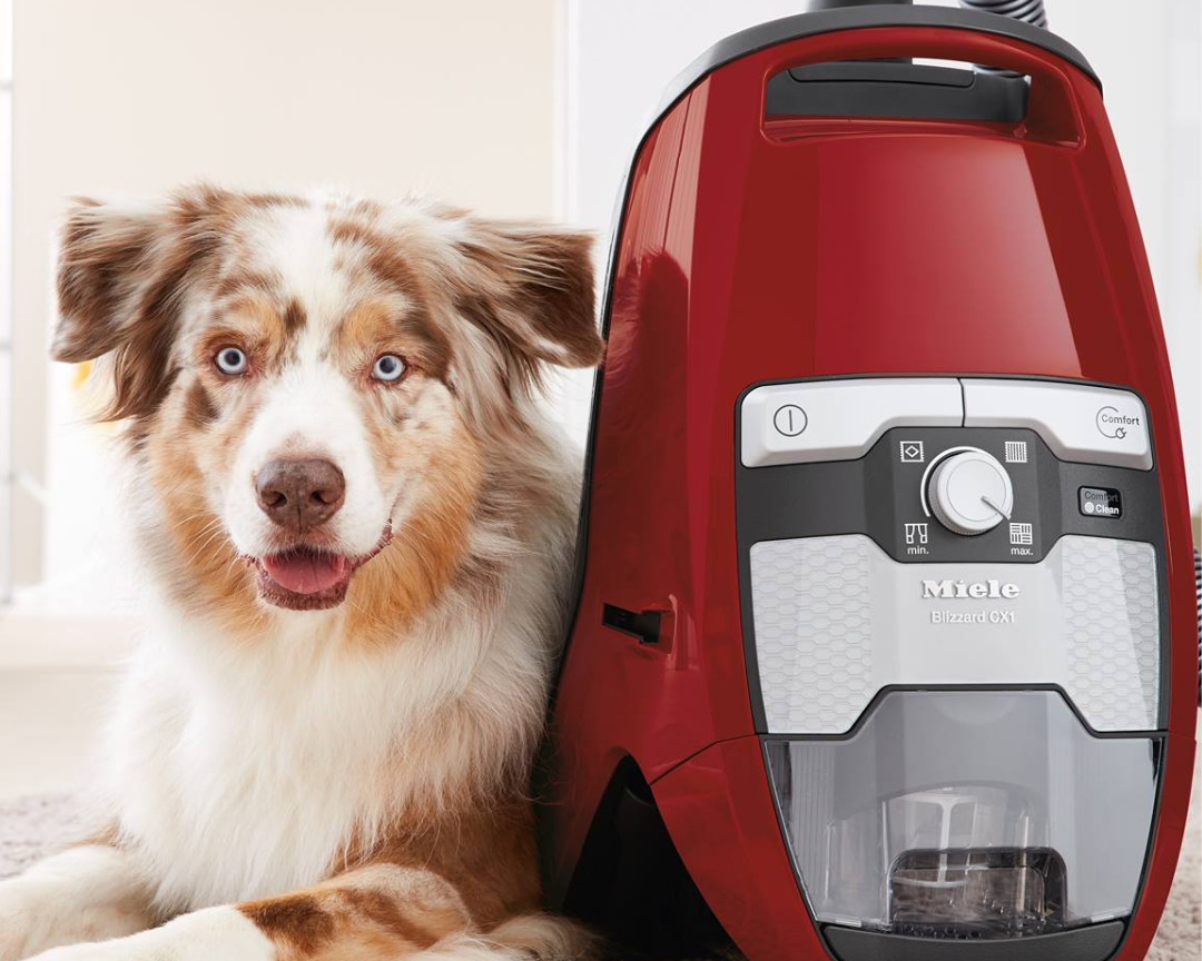 Why Your Vacuum Cleaner Might Be Losing Suction and How to Fix It