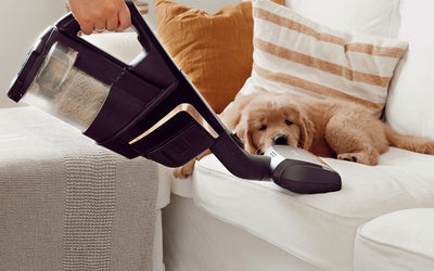 Person using a Miele handheld vacuum cleaner on a white sofa with a dog lying on it.