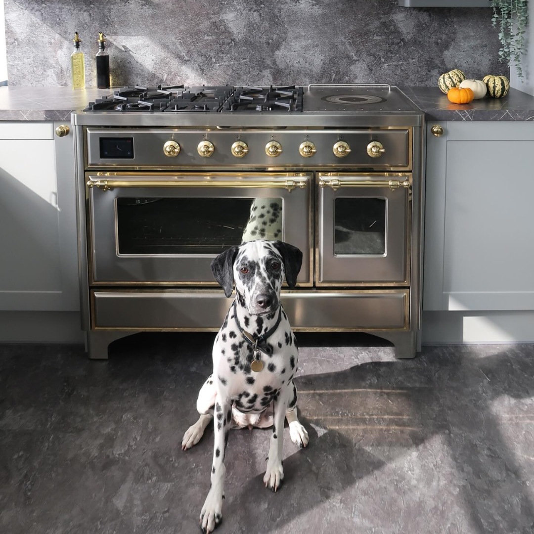 ilve_oven_repairs_adelaide.png